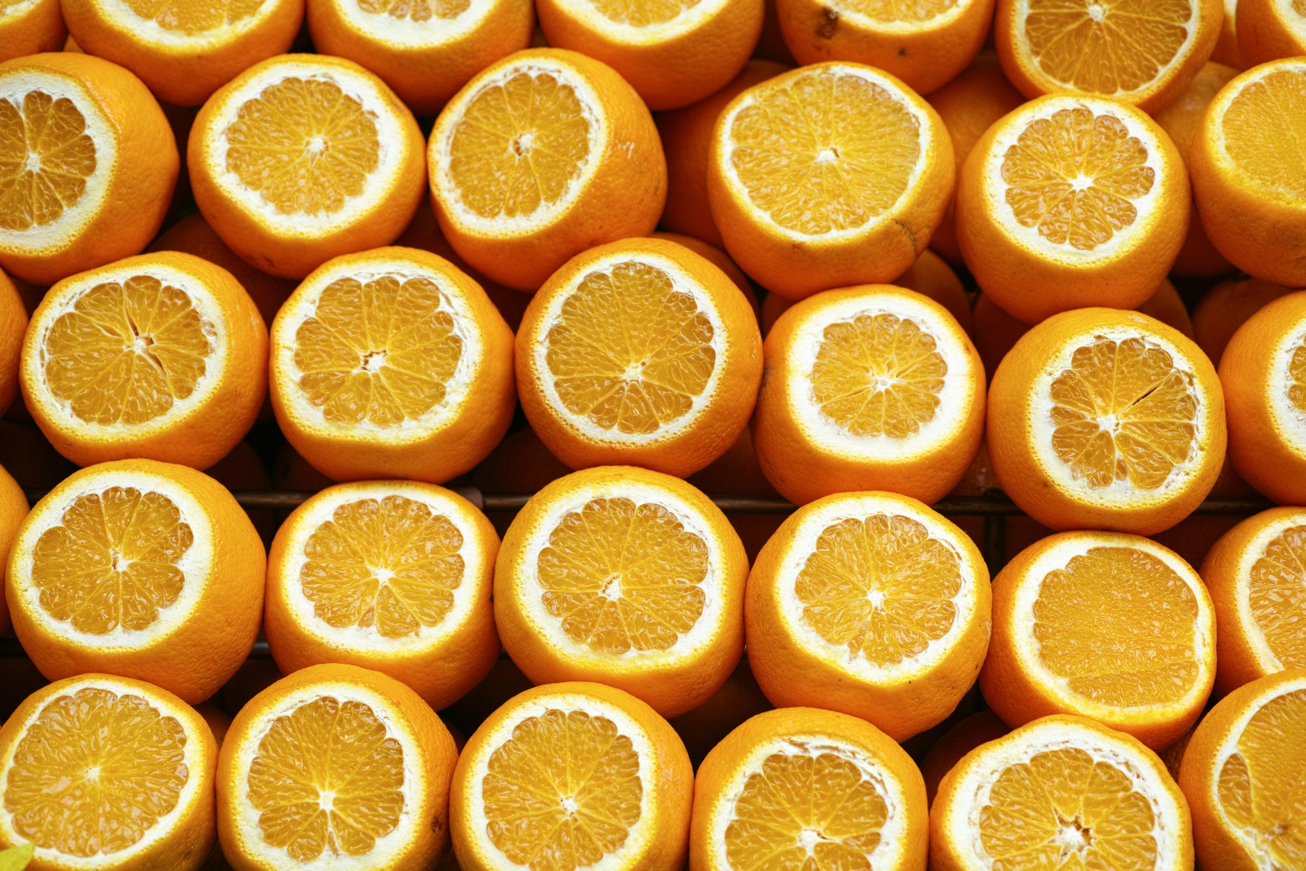 Maximizing Organic Traffic: The Power of Google Search Generators